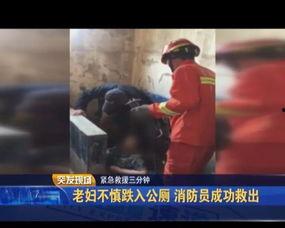 日韩老妇系列视频在线