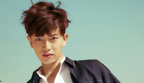 黎明中日韩女友是谁呀视频,视频揭秘背后的真相